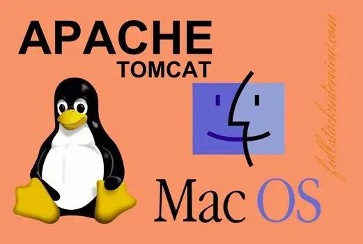 This article describes how to download and run the Apache Tomcat server as a standalone server