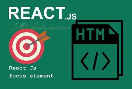 Setting focus on an element can be done in three ways in React JS